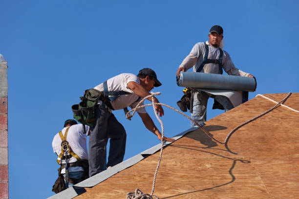Best New Roof Installation  in Spring Lake Park, MN