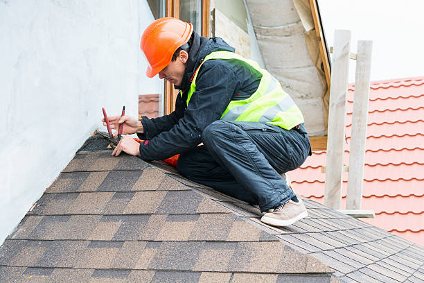 Best Metal Roofing Contractor  in Spring Lake Park, MN